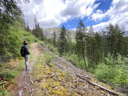 A person stands on a forest trail, surrounded by trees and mountains under a partly cloudy sky.