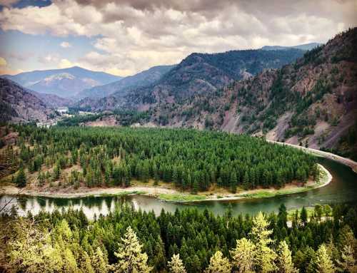 A scenic view of a winding river surrounded by lush green forests and mountains under a cloudy sky.