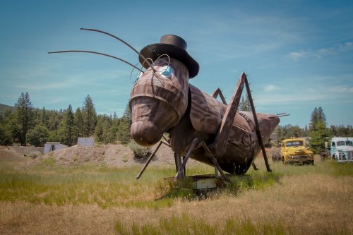 A large, whimsical grasshopper statue wearing a top hat and glasses, set in a grassy field with trees in the background.