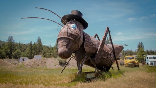 A large, whimsical grasshopper statue wearing a top hat, set in a grassy field with trees in the background.