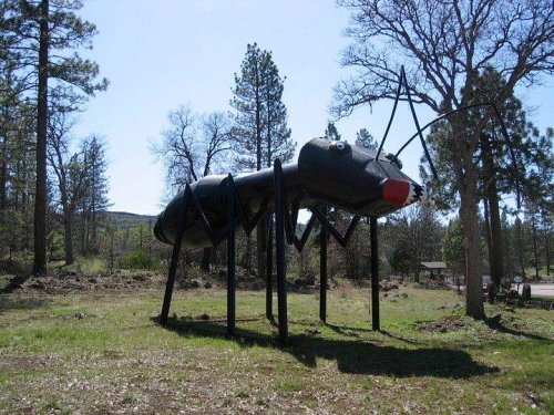 A large metal sculpture of an ant stands in a grassy area surrounded by trees under a clear blue sky.