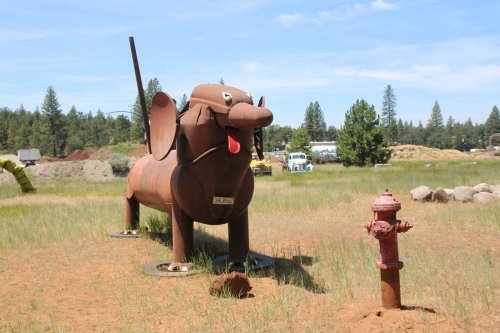 A large metal sculpture of a dog stands in a grassy field next to a red fire hydrant. Trees and vehicles are in the background.