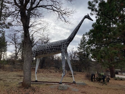 A large, metal giraffe sculpture stands among trees in a wooded area, with a cloudy sky in the background.