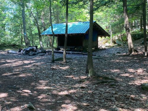 A rustic cabin with a blue metal roof surrounded by trees and rocky terrain in a wooded area.