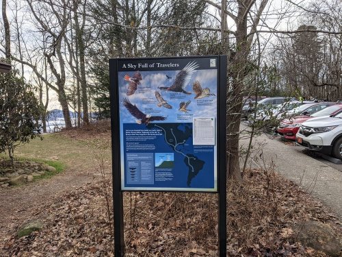 Information sign about birds of prey, with illustrations and text, set in a wooded area near parked cars.