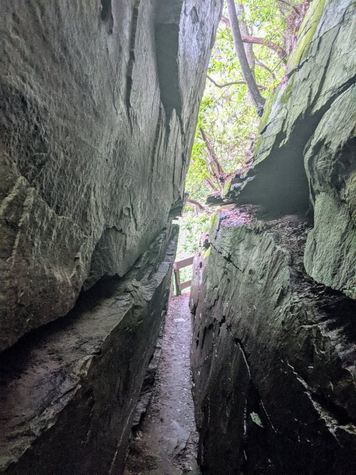 Narrow passage between tall rock walls, leading to a bright, green area with trees above.
