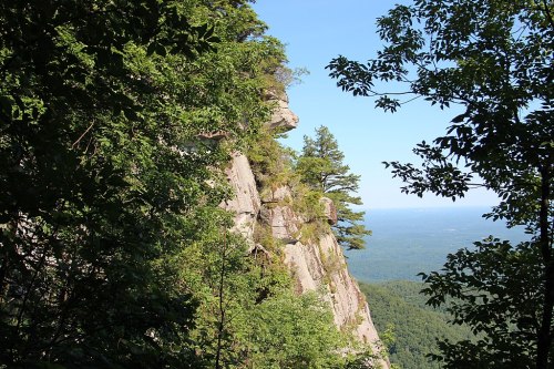 A rocky cliff surrounded by lush green trees, overlooking a vast forested landscape under a clear blue sky.
