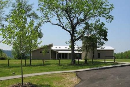 Modern house surrounded by greenery, with a large tree and a paved path leading to it. Clear blue sky in the background.