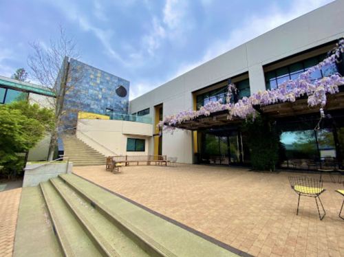 Modern building with a blue facade, surrounded by greenery and wisteria, featuring a spacious outdoor area and stairs.