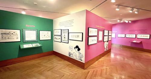 An art exhibit featuring colorful walls labeled "Sports" and "Cathy" with framed illustrations and text.