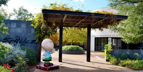 A statue of Charlie Brown stands at the entrance of the Charles M. Schulz Museum, surrounded by greenery.