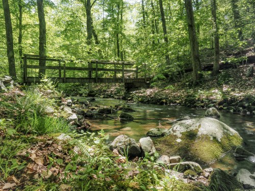 A serene forest scene featuring a stream, moss-covered rocks, and a wooden bridge surrounded by lush greenery.