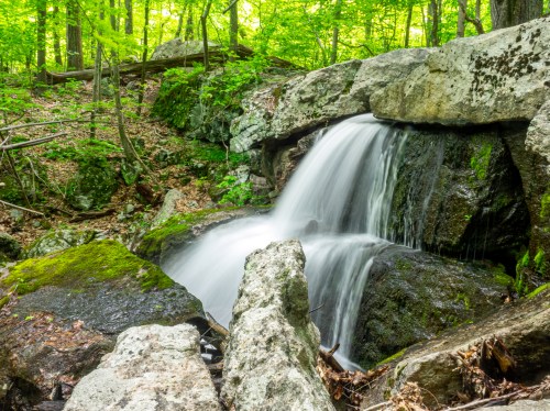A serene waterfall cascades over moss-covered rocks in a lush green forest.