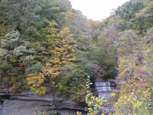 A serene waterfall cascades down rocky cliffs, surrounded by vibrant autumn foliage in a lush forest.