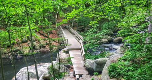A wooden bridge spans a stream in a lush green forest, surrounded by rocks and trees.