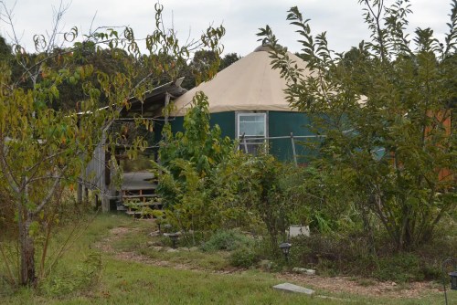 A green yurt surrounded by trees and plants, with a wooden deck and steps leading up to it.