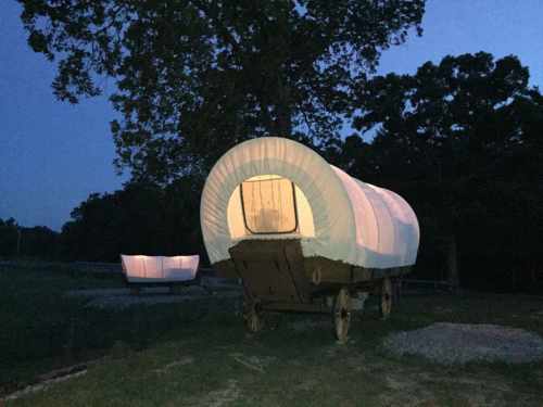 Two illuminated covered wagons sit in a grassy area at dusk, surrounded by trees.