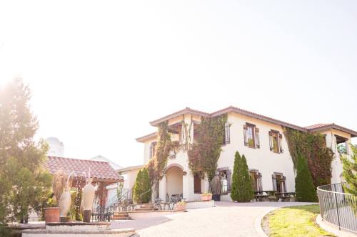 A sunlit, elegant house with ivy-covered walls, surrounded by greenery and a winding driveway.