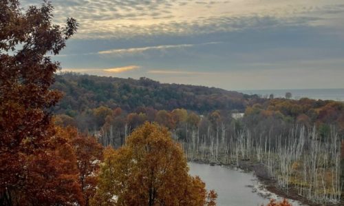 A scenic view of a river surrounded by autumn foliage and bare trees, under a cloudy sky.