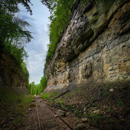 A narrow, overgrown railway track flanked by steep, rocky cliffs and lush greenery under a cloudy sky.