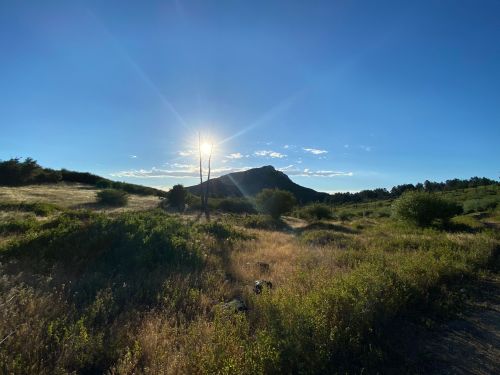 A sun sets behind a mountain, casting light over a grassy landscape with scattered trees and a clear blue sky.