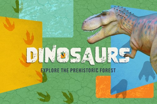 Colorful graphic featuring a dinosaur and footprints, with the text "Dinosaurs: Explore the Prehistoric Forest."