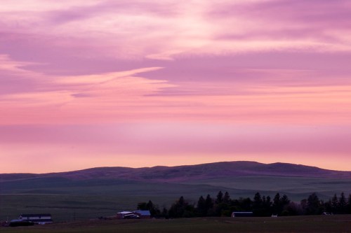 A serene landscape at dusk, featuring rolling hills and a pastel pink and purple sky.