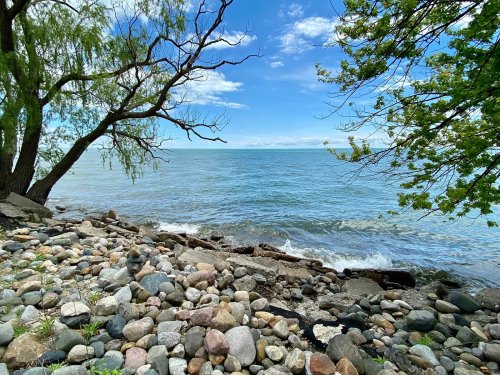 A serene lakeside view with smooth stones, gentle waves, and trees framing the horizon under a blue sky.