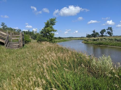 A serene riverbank scene with tall grass, trees, and a wooden walkway under a blue sky with fluffy clouds.