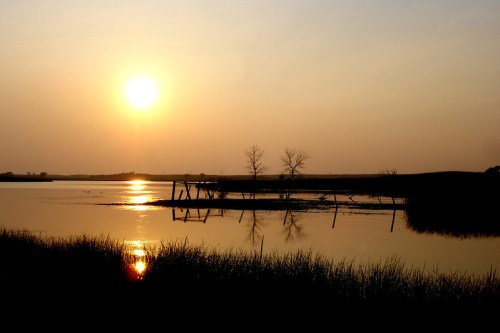 Sunset over a calm lake, with silhouettes of trees and reflections on the water's surface.