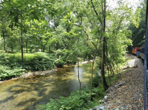 A serene river flows through a lush green forest, with trees lining the banks and a train visible in the background.