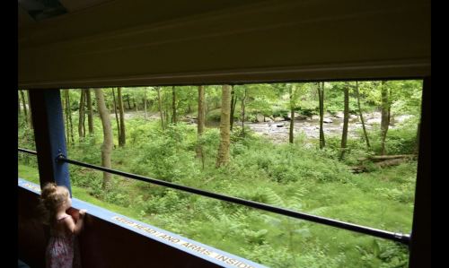 A child gazes out of a train window at a lush green forest and a flowing river.