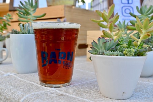 A glass of amber beer sits next to potted succulents on a table, with a logo reading "The Barn" visible on the glass.