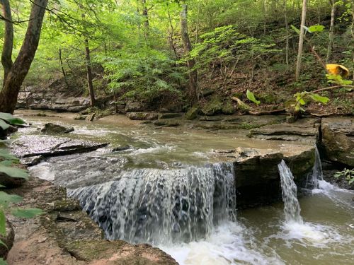 A serene stream flows over rocky ledges, surrounded by lush green trees in a peaceful forest setting.
