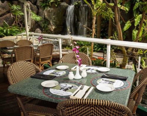 A cozy restaurant table set with plates and utensils, surrounded by lush greenery and a waterfall in the background.