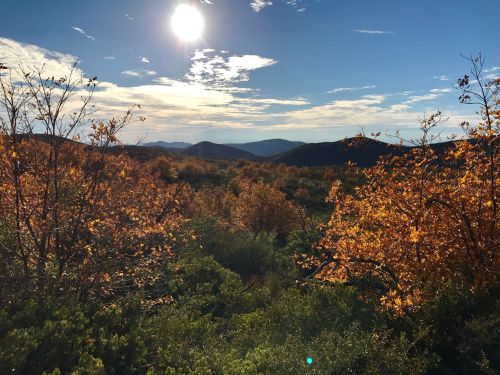 A scenic view of rolling hills and trees with autumn foliage under a bright sun and blue sky.