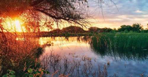 Sunset over a tranquil pond, with vibrant colors reflecting on the water and lush greenery surrounding the scene.