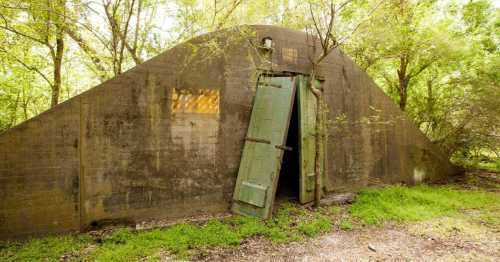 An abandoned, weathered building with a green door, surrounded by lush greenery and trees.