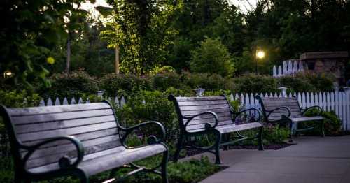 A peaceful park scene featuring empty wooden benches along a path, surrounded by greenery and soft evening light.