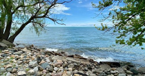 A serene lakeside view with smooth stones, gentle waves, and trees framing the calm blue water under a clear sky.