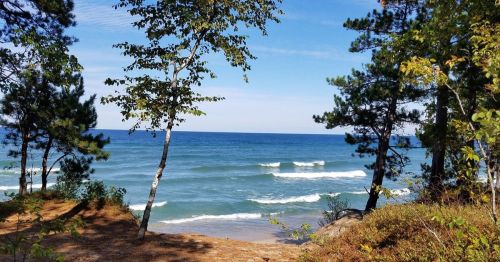 A serene beach scene with gentle waves, framed by trees under a clear blue sky.