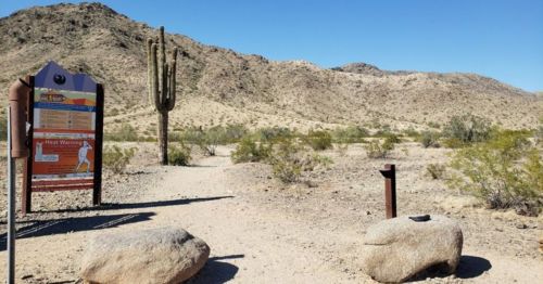 Desert landscape with a trail sign, cacti, and rocky terrain under a clear blue sky.