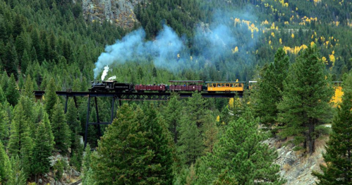 A steam train crosses a trestle bridge surrounded by lush green trees and autumn-colored foliage. Smoke billows from the engine.