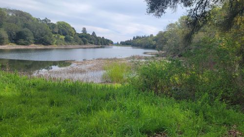 A serene lake surrounded by lush greenery and trees under a cloudy sky.