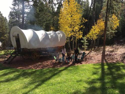 A covered wagon sits in a grassy area surrounded by trees, with people gathered around a fire nearby.