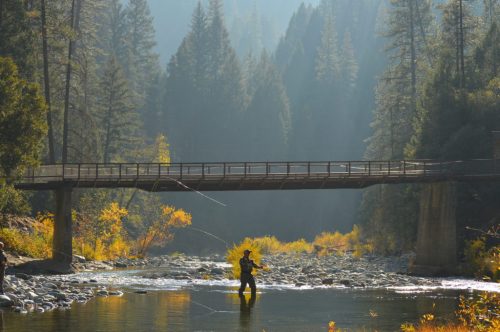 A person fly-fishing in a river beneath a bridge, surrounded by trees and autumn foliage in a misty landscape.