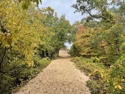 A sandy path winds through trees with autumn foliage in shades of green, yellow, and orange.