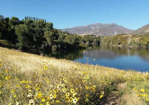 A serene lake surrounded by wildflowers and trees, with mountains in the background under a clear blue sky.