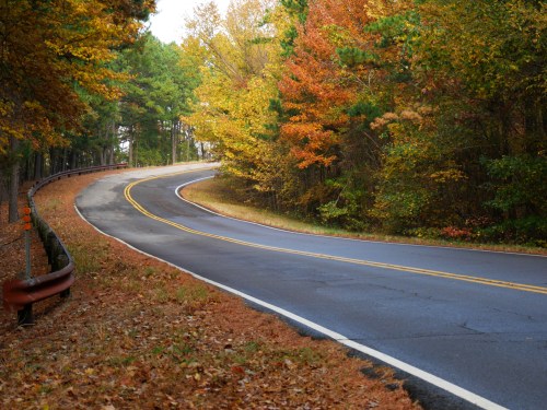 A winding road surrounded by colorful autumn trees and fallen leaves.