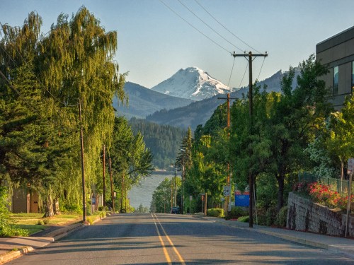 A scenic view of a tree-lined street leading to a lake and snow-capped mountains in the background.